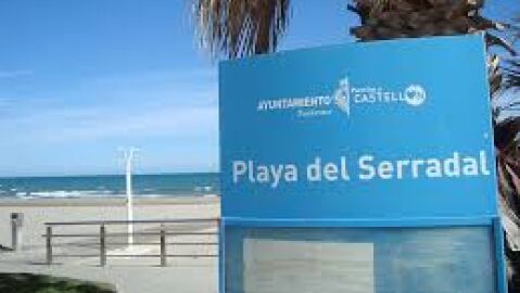 MEDIO AMBIENTE