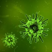 Virus de la gripe 