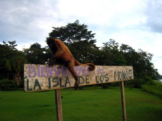 "Los animales ante una amenaza externa como un desastre climático, entienden que el beneficio del grupo está por encima del privilegio del individuo" "Los animales ante una amenaza externa como un desastre climático, entienden que el beneficio del grupo está por encima del privilegio del individuo"