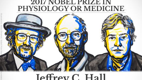 Jeffrey C. Hall, Michael Rosbash y Michael W. Young