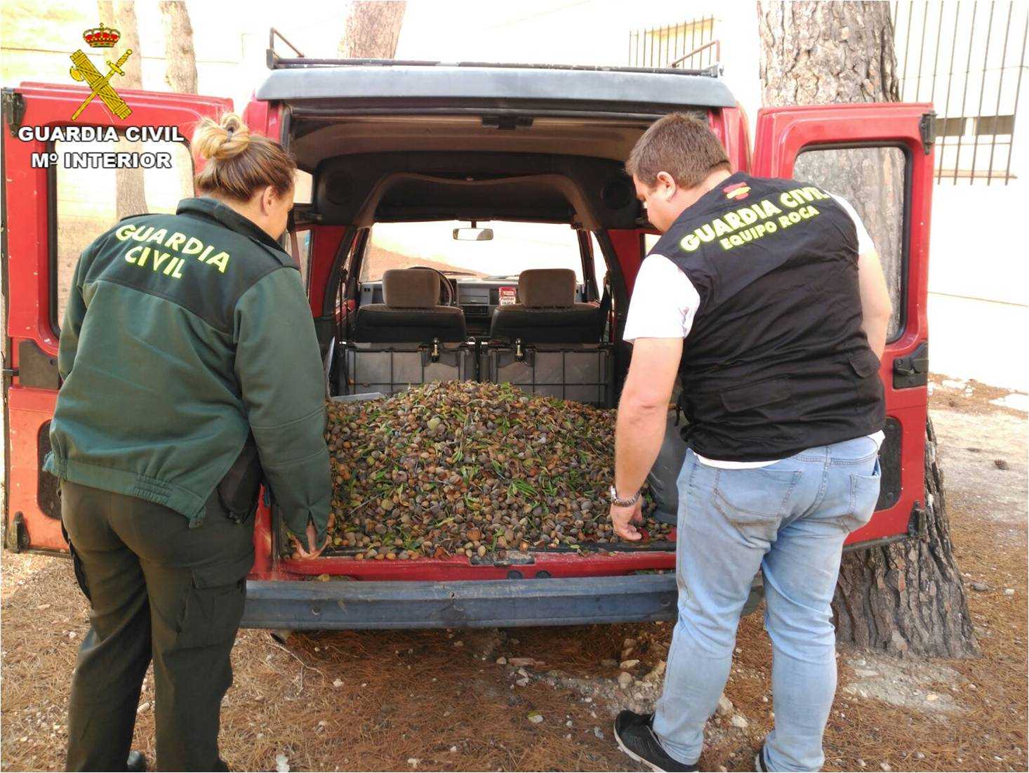 La Guardia Civil desarticula en Sax un grupo dedicado al robo en fincas agrícolas La Guardia Civil desarticula en Sax un grupo dedicado al robo en fincas agrícolas