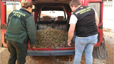 Dos agentes de la Guardia Civil junto a parte del bot&iacute;n de almendras que se han recuperado en la operaci&oacute;n policial