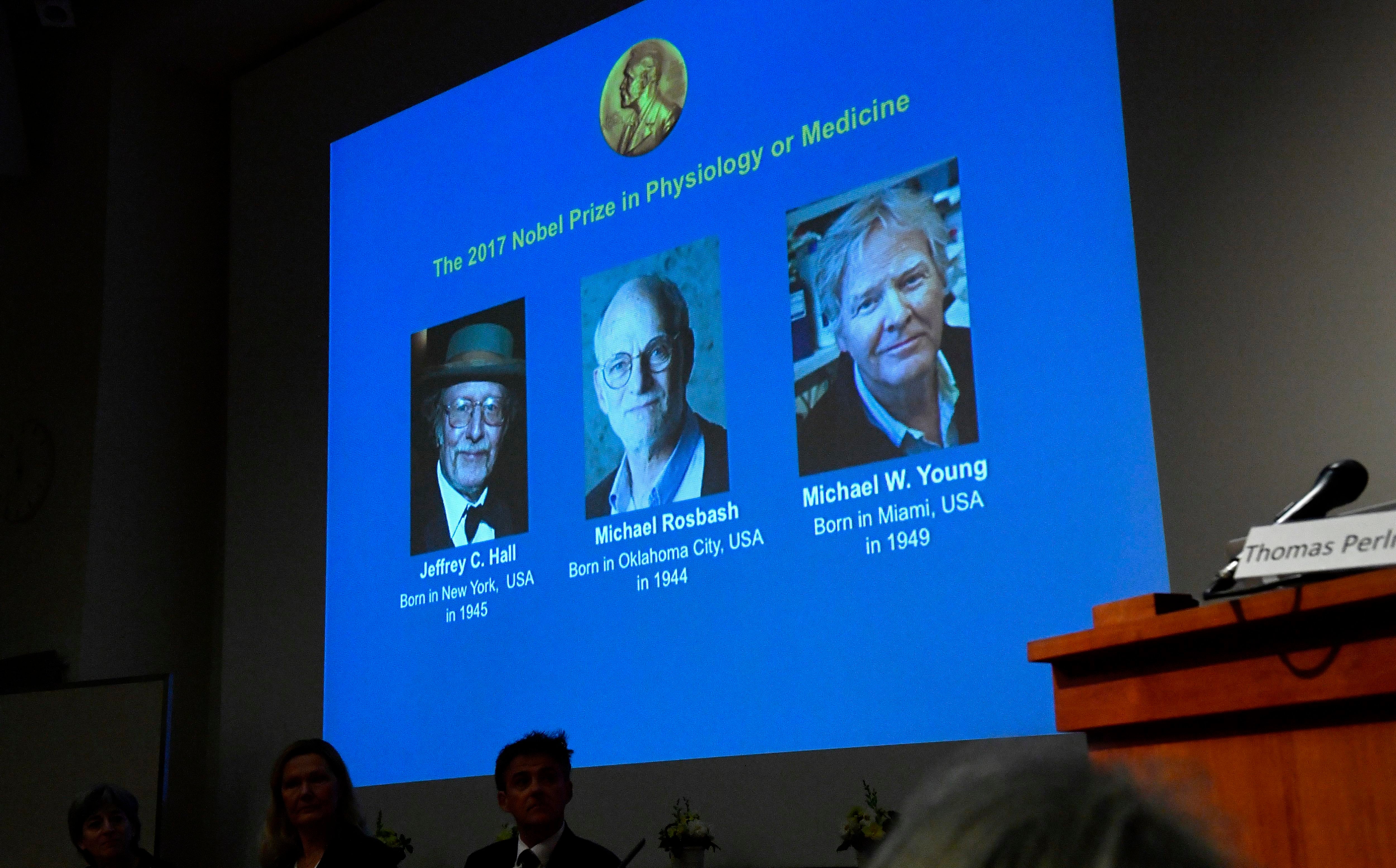 La Brújula de la Ciencia: Los relojes biológicos del Nobel de Medicina La Brújula de la Ciencia: Los relojes biológicos del Nobel de Medicina