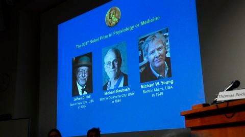 Los investigadores del 'reloj interno del cuerpo' reciben el Nobel de Medicina 2017 