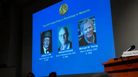 Los investigadores del 'reloj interno del cuerpo' reciben el Nobel de Medicina 2017 Los investigadores del 'reloj interno del cuerpo' reciben el Nobel de Medicina 2017