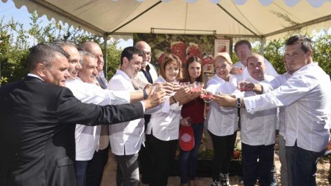 La campa&ntilde;a de recogida de la granada Mollar 2017 ha arrancado con presencia de chefs con estrella Michel&iacute;n