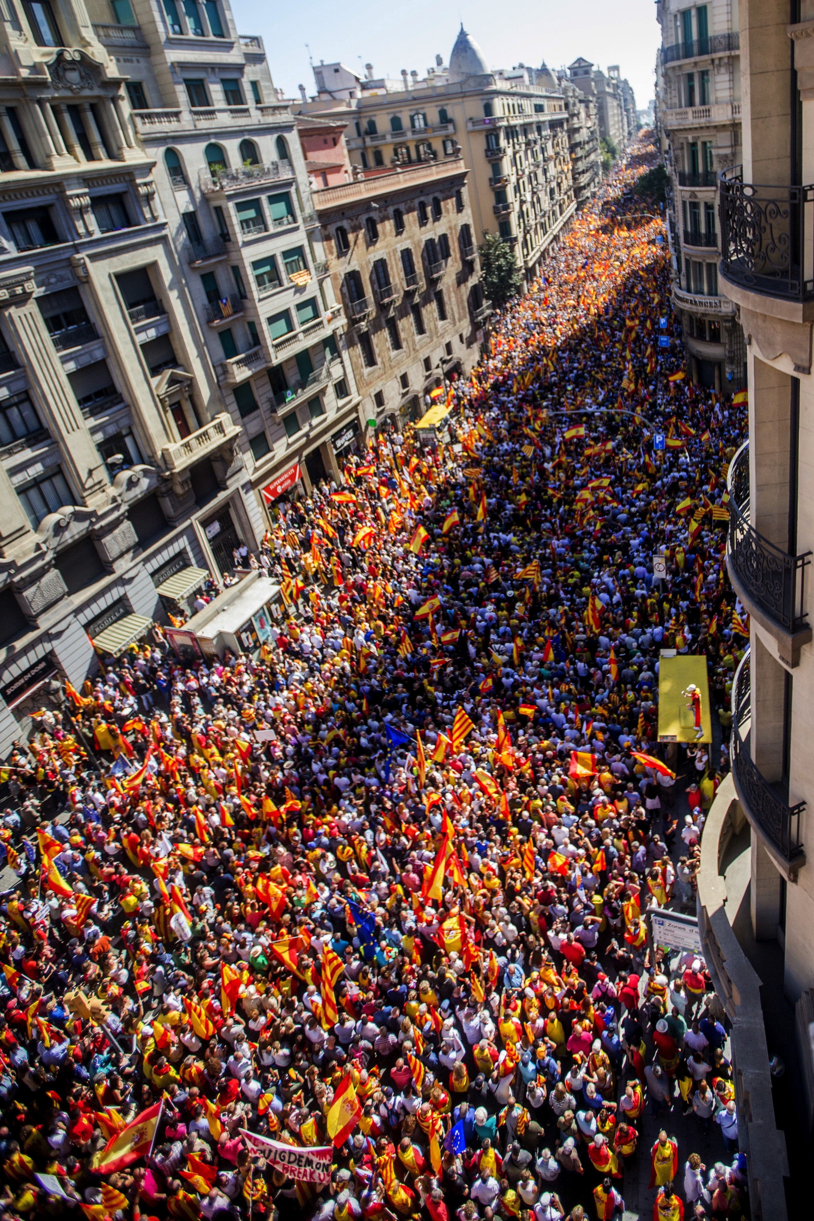 José Domingo, SCC: "Nada será igual después de la manifestación de hoy" José Domingo, SCC: "Nada será igual después de la manifestación de hoy"