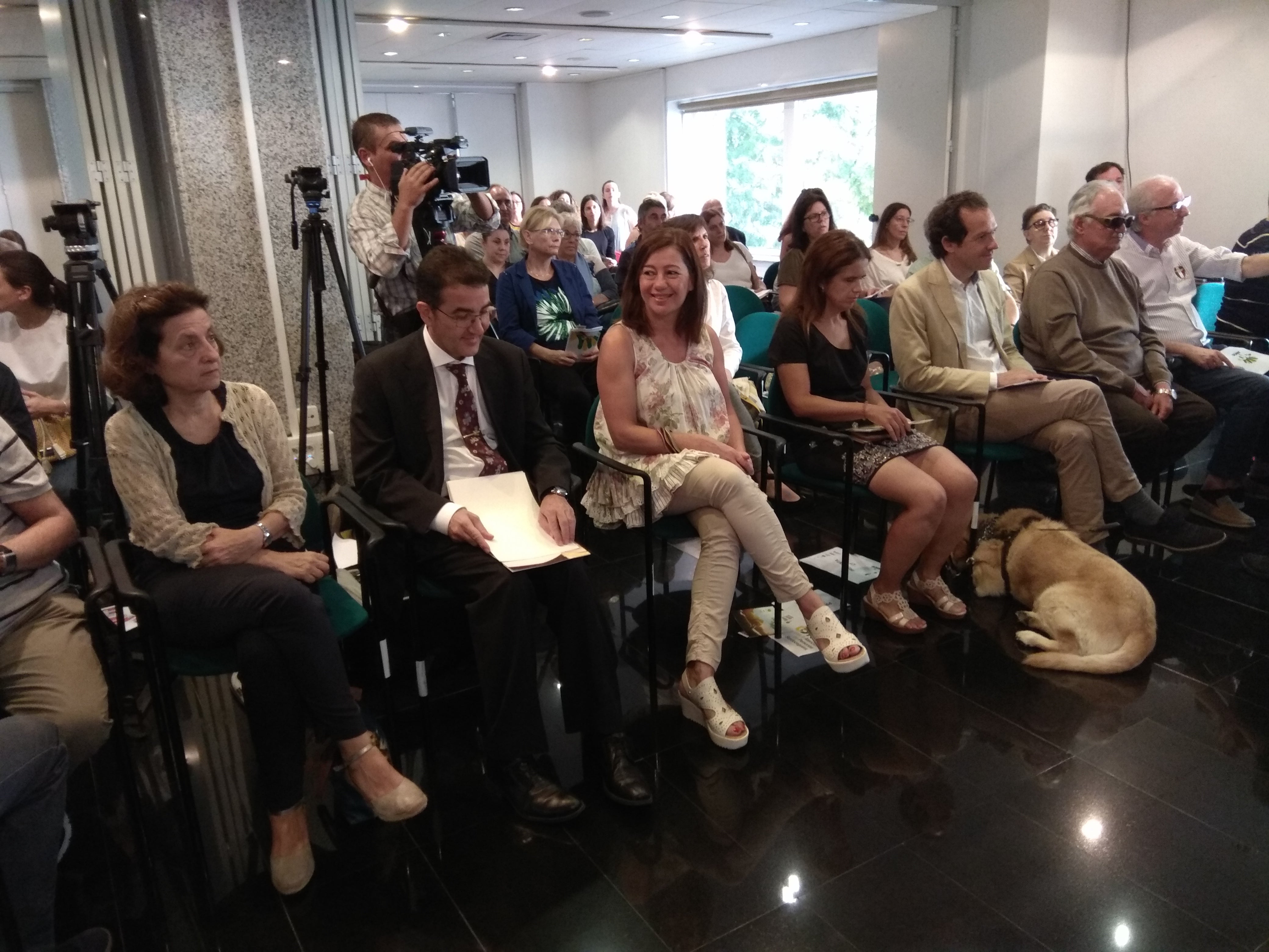 Armengol apunta que aún existen desigualdades que deben romperse para mejorar la integración de sordo-ciegos. Armengol apunta que aún existen desigualdades que deben romperse para mejorar la integración de sordo-ciegos.