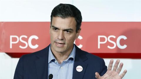 Pedro S&aacute;nchez