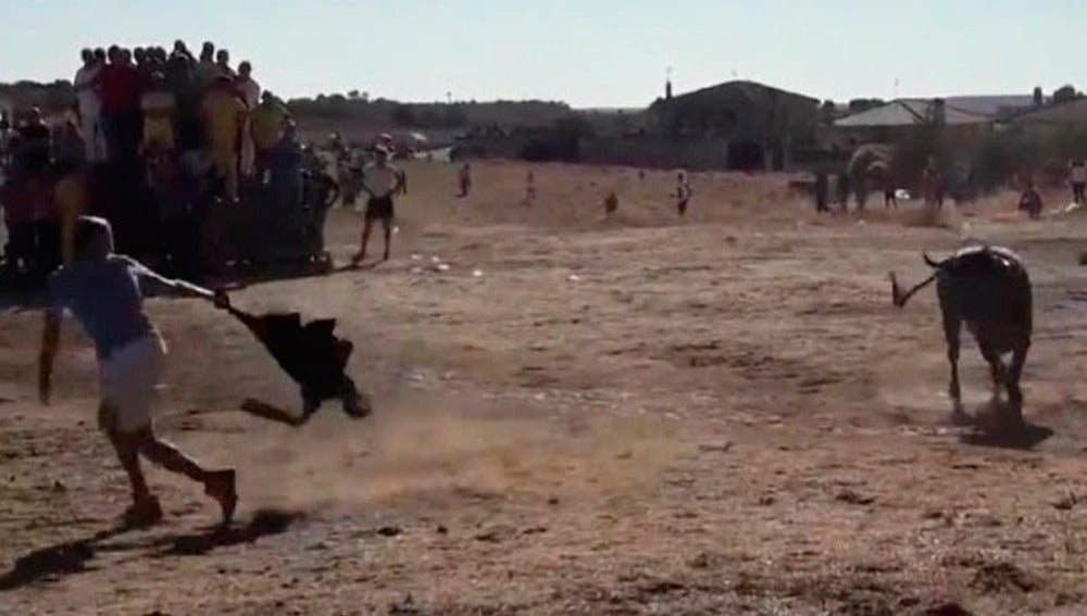 Un hombre muere tras ser corneado por un toro en los encierros del Campo de Valfermoso de Tajuña