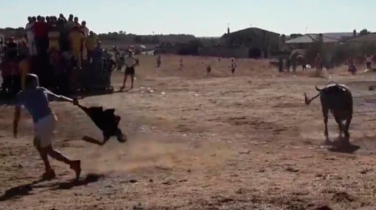 Un hombre muere tras ser corneado por un toro en los encierros del Campo de Valfermoso de Tajuña Un hombre muere tras ser corneado por un toro en los encierros del Campo de Valfermoso de Tajuña