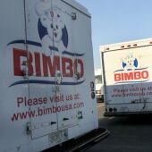 Bimbo