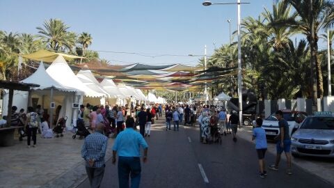 Fireta del Camp d'Elx 2017