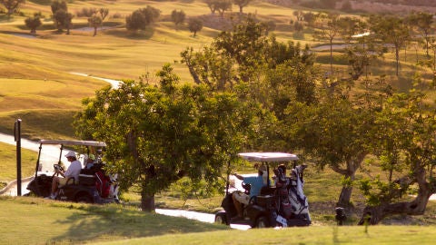 GOLF