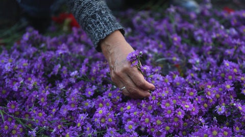  Un grupo de personas colocan flores y fotograf&iacute;as de v&iacute;ctimas del genocidio en Guatemala durante la guerra