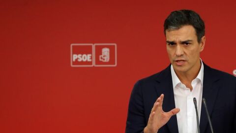 El secretario general del PSOE, Pedro S&aacute;nchez