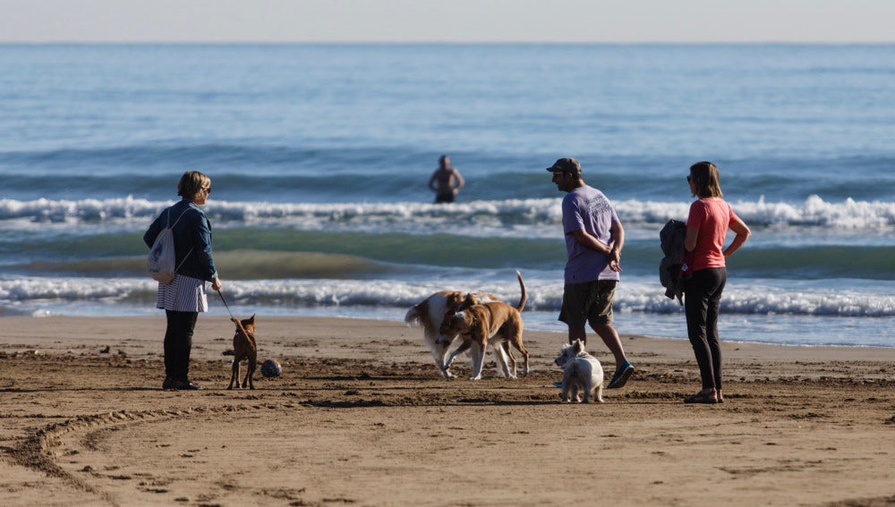 Los canes y sus propietarios pueden disfrutar del tiempo de ocio en la playa. 