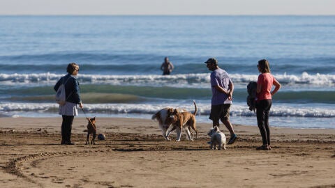 PLAYA PERROS