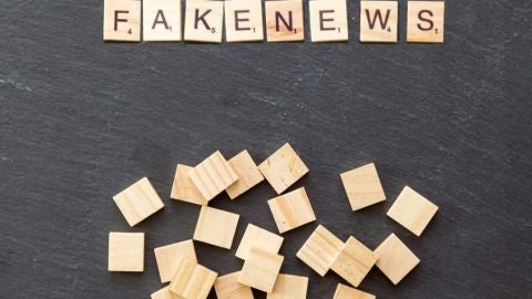 El problema de los algoritmos: Google inserta publicidad de noticias falsas en webs antibulos