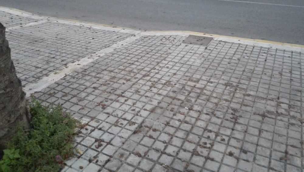 Dátiles en la acera en la Calle Curtidores de Elche