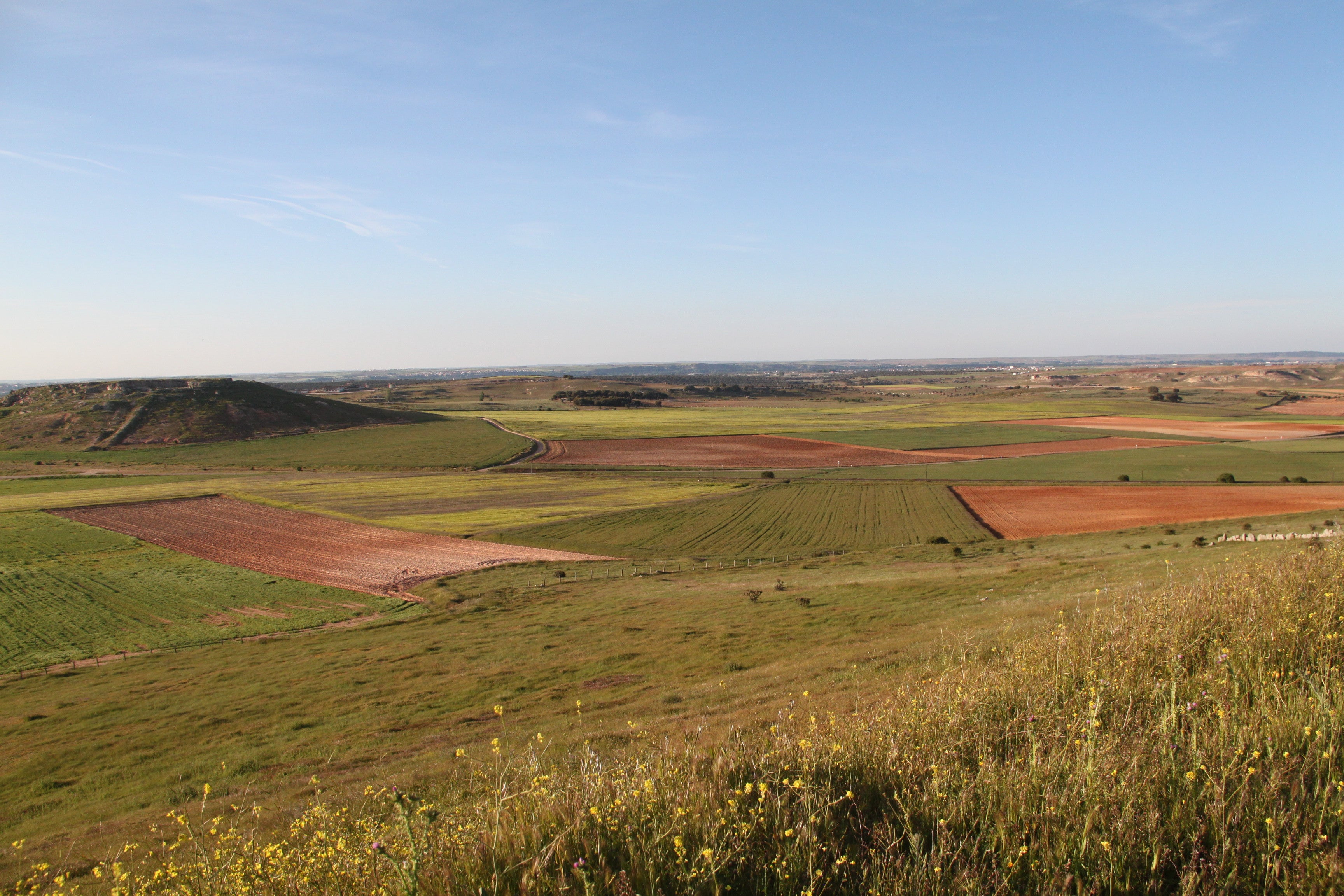 Los agricultores de secano podrán contar con una nueva fuente de ingresos mediante créditos de carbono Los agricultores de secano podrán contar con una nueva fuente de ingresos mediante créditos de carbono