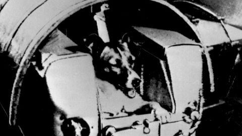 60 a&ntilde;os desde el lanzamiento de la perra Laika al espacio