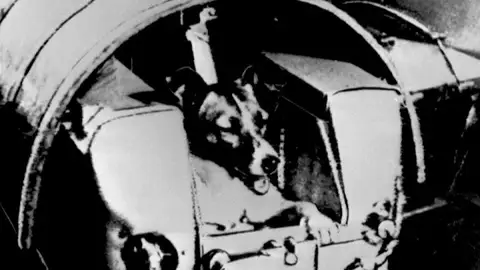 60 años desde el lanzamiento de la perra Laika al espacio 60 años desde el lanzamiento de la perra Laika al espacio