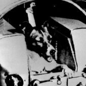 60 años desde el lanzamiento de la perra Laika al espacio