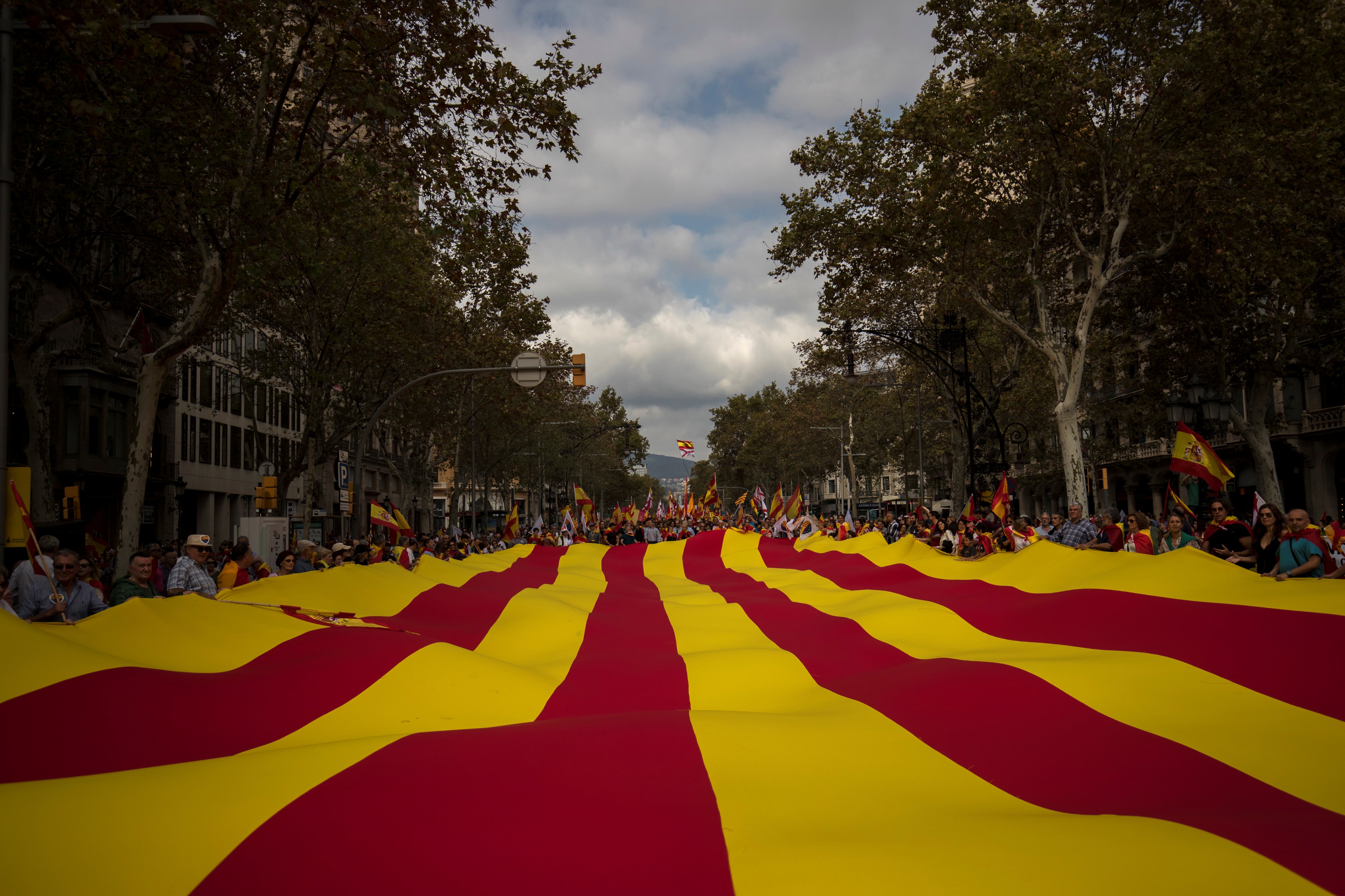 Vox anuncia que los gobiernos autonómicos en los que tiene presencia, como en Extremadura, llevarán la amnistía ante el TC Vox anuncia que los gobiernos autonómicos en los que tiene presencia, como en Extremadura, llevarán la amnistía ante el TC