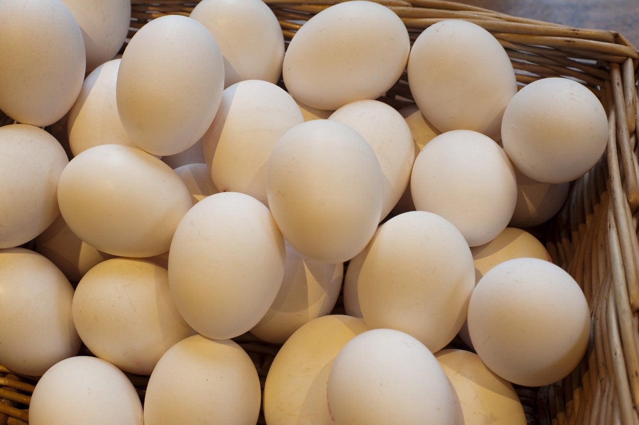 La escasez de huevos en Europa dispara las exportaciones y los precios de los huevos españoles La escasez de huevos en Europa dispara las exportaciones y los precios de los huevos españoles