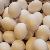 Imagen de archivo de huevos blancos