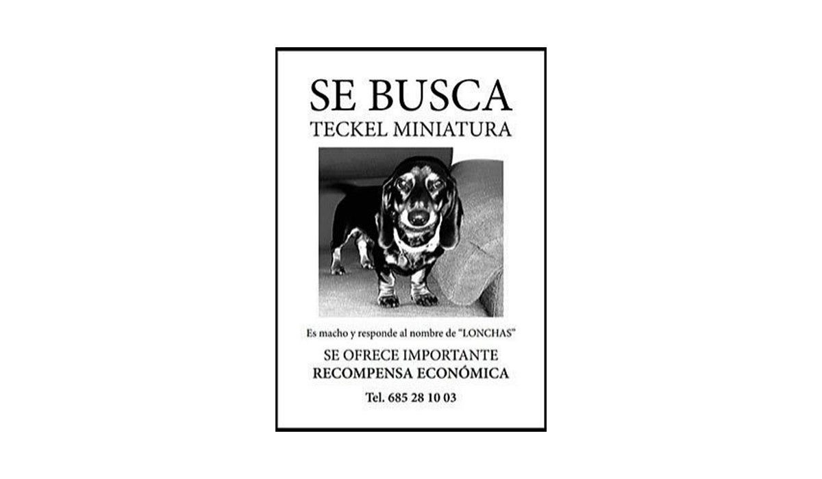 Ofrecen una recompensa de 10.000 euros por un perro perdido en Alcalá de Henares Ofrecen una recompensa de 10.000 euros por un perro perdido en Alcalá de Henares