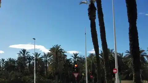 Confluencia de la avenida Juan Carlos I con la avenida de Santa Pola de Elche Confluencia de la avenida Juan Carlos I con la avenida de Santa Pola de Elche