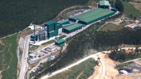 Bajo la supervisi&oacute;n de MARE