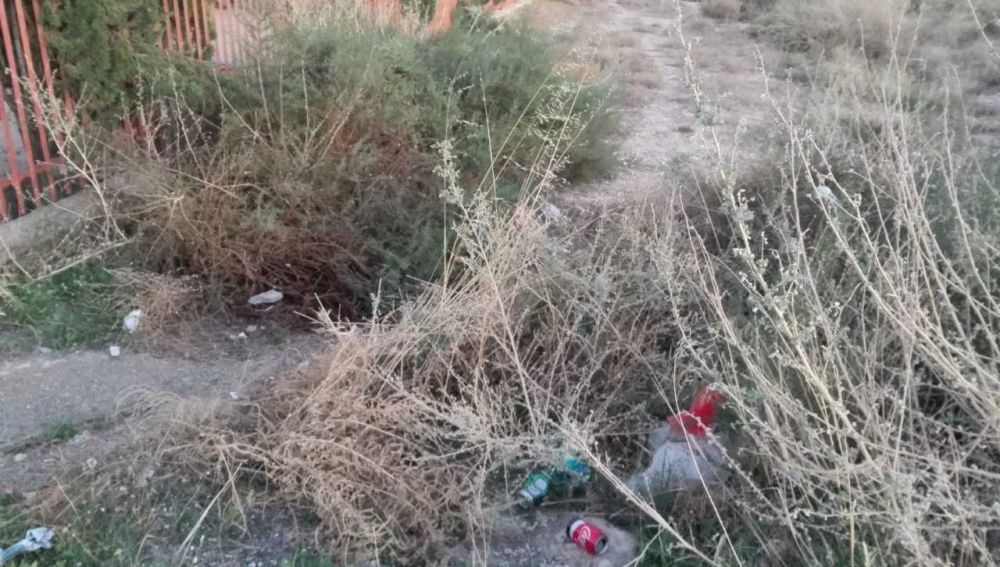Basura acumulada junto a la Escuela Municipal Dond Crispín de Elche