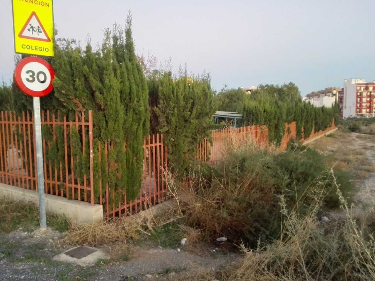 Ilicitanos por Elche exige el desbroce del entorno de la Escuela Municipal Infantil Don Crispín Ilicitanos por Elche exige el desbroce del entorno de la Escuela Municipal Infantil Don Crispín