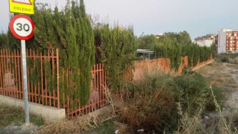 Estadp en el que se encuentra la maleza en la Escuela Municipal Infantil Don Crisp&iacute;n de Elche