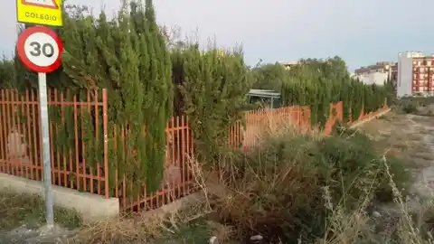 Estadp en el que se encuentra la maleza en la Escuela Municipal Infantil Don Crispín de Elche Estadp en el que se encuentra la maleza en la Escuela Municipal Infantil Don Crispín de Elche