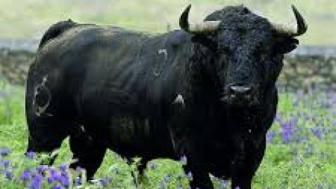 C&oacute;rdoba en la Onda