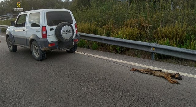 Detenido tras matar a un cachorro al arrastrarlo atado a un vehículo en Cádiz Detenido tras matar a un cachorro al arrastrarlo atado a un vehículo en Cádiz
