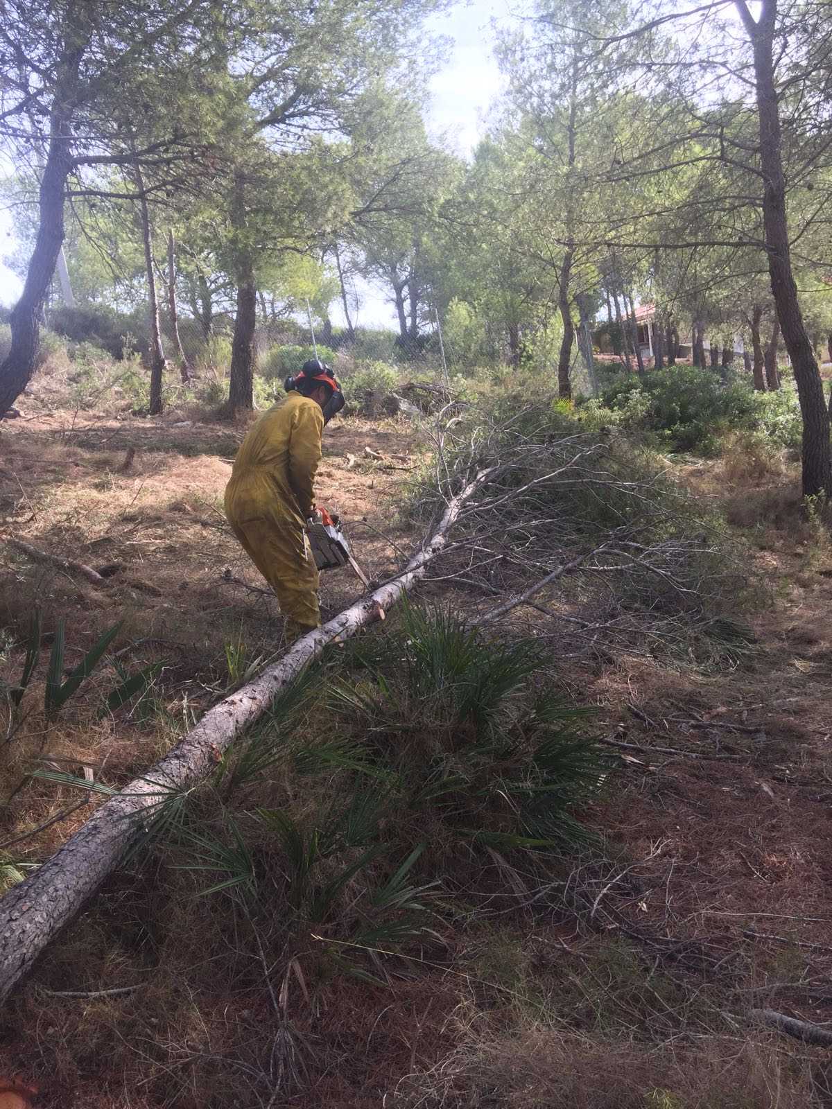 El Ayuntamiento de Oropesa activa un proyecto para la prevención de los incendios forestales en parcelas de la localidad El Ayuntamiento de Oropesa activa un proyecto para la prevención de los incendios forestales en parcelas de la localidad