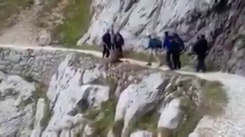La crueldad de un grupo de senderistas en los Picos de Europa: despe&ntilde;an a un jabal&iacute; en la Ruta del Cares