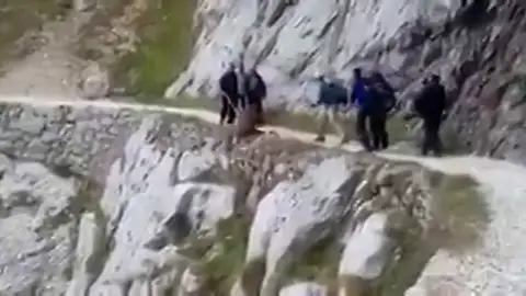 La crueldad de un grupo de senderistas en los Picos de Europa: despeñan a un jabalí en la Ruta del Cares La crueldad de un grupo de senderistas en los Picos de Europa: despeñan a un jabalí en la Ruta del Cares
