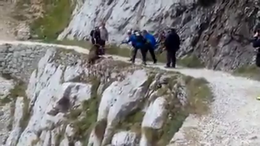 La Guardia Civil pide colaboración para identificar a quienes despeñaron un jabalí en Picos de Europa La Guardia Civil pide colaboración para identificar a quienes despeñaron un jabalí en Picos de Europa