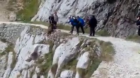 Unos senderistas tiran a un jabal&iacute; por un precipicio