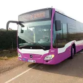 Autobús Urbano de Palencia Autobús Urbano de Palencia