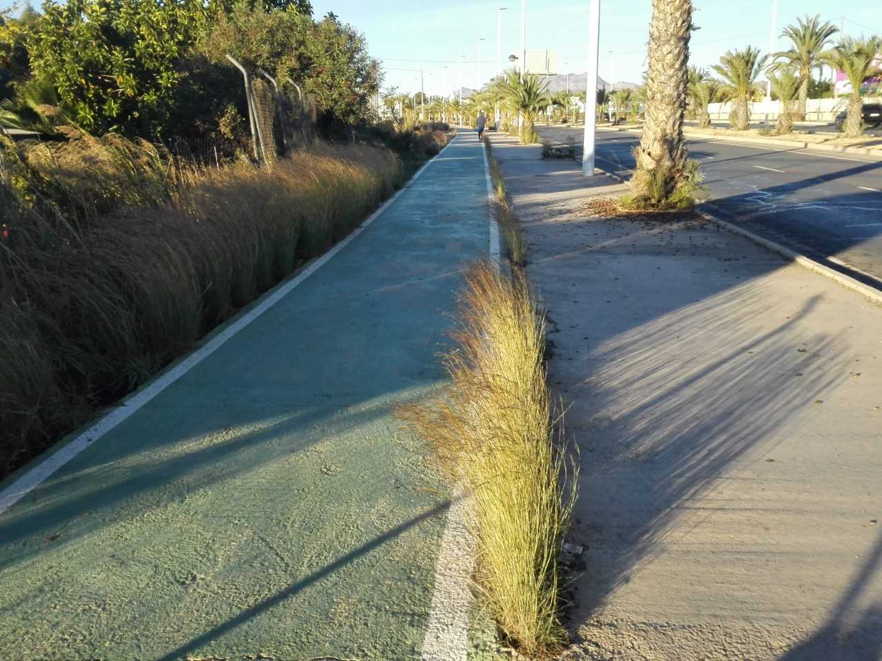 Ilicitanos por Elche exige la eliminación de hierbas y maleza en la Ronda Norte Ilicitanos por Elche exige la eliminación de hierbas y maleza en la Ronda Norte