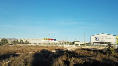 El cielo despejado continúa reinando en Elche, Crevillent y Santa Pola El cielo despejado continúa reinando en Elche, Crevillent y Santa Pola