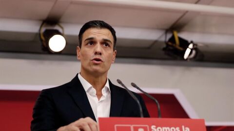 Pedro S&aacute;nchez