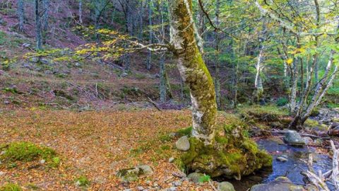 Para 'Destino Cantabria 2017'